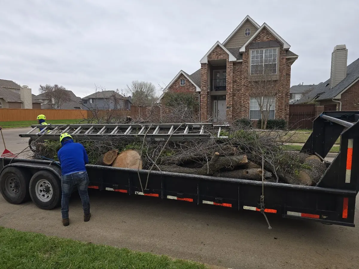 Expert Lot Clearing with proper safety equipment in Monclova